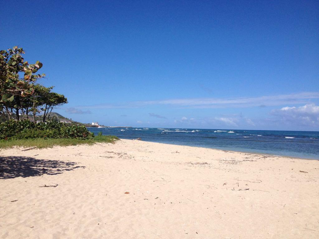 Mar Azul 401 Apartment Puerto Plata ภายนอก รูปภาพ
